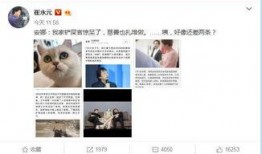 娱乐圈爆料人的微博,明星幕后故事大曝光